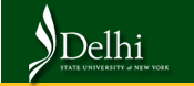 Delhi Logo