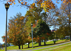 Fall leaves on campus