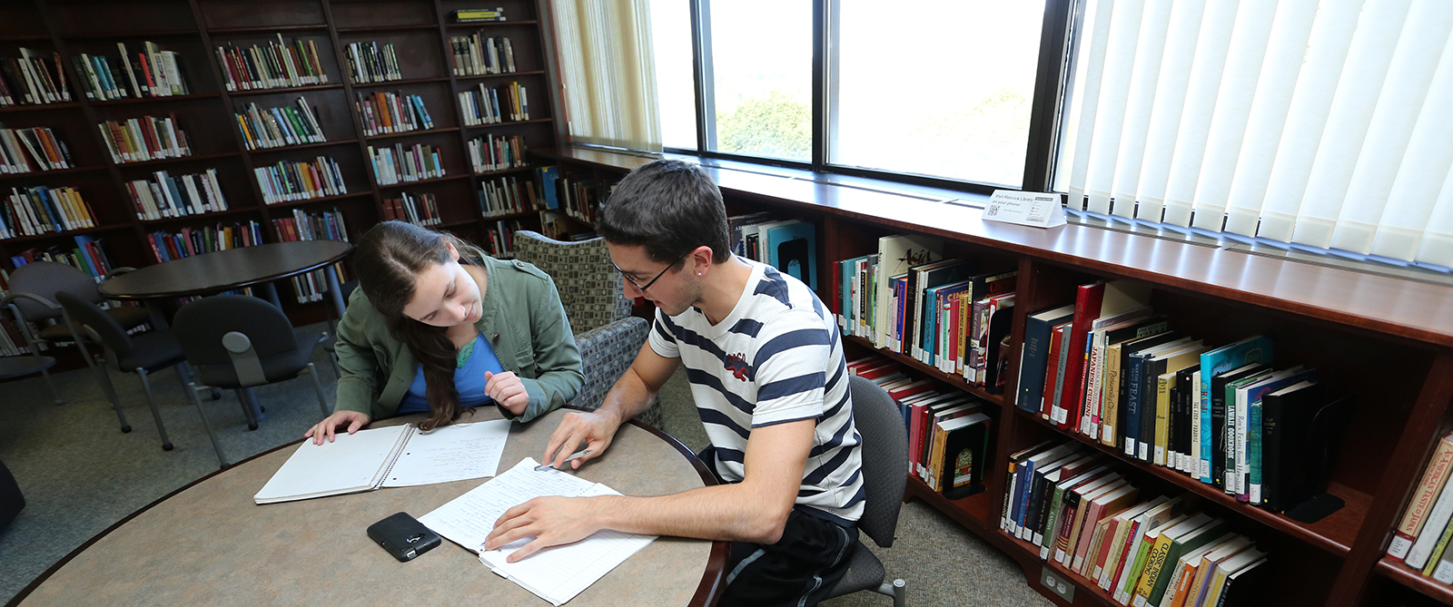 Students studying in the library