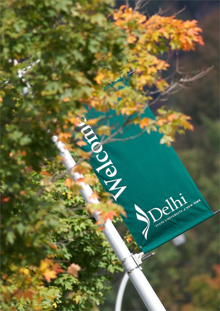 Green welcome glad among fall leaves